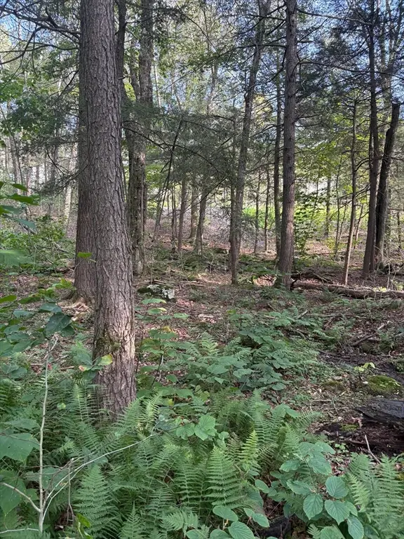 TS12 &TTR8 Slope Rd & Traaack, Tolland, MA 01034 - #3