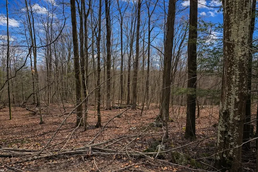 134 Nash Hill Rd, Williamsburg, MA 01096 - #2