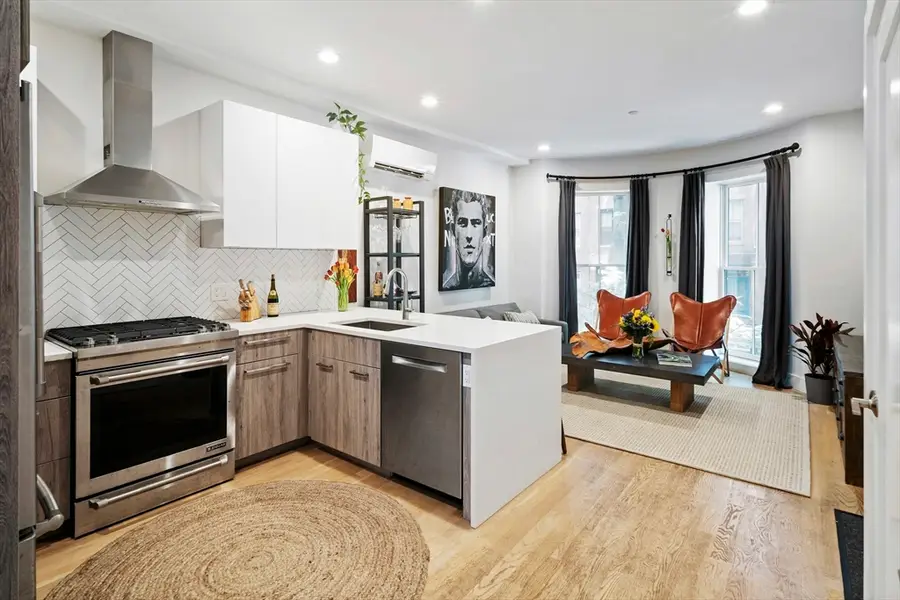 55 E Springfield Street #2, Boston, MA 02118 - #3