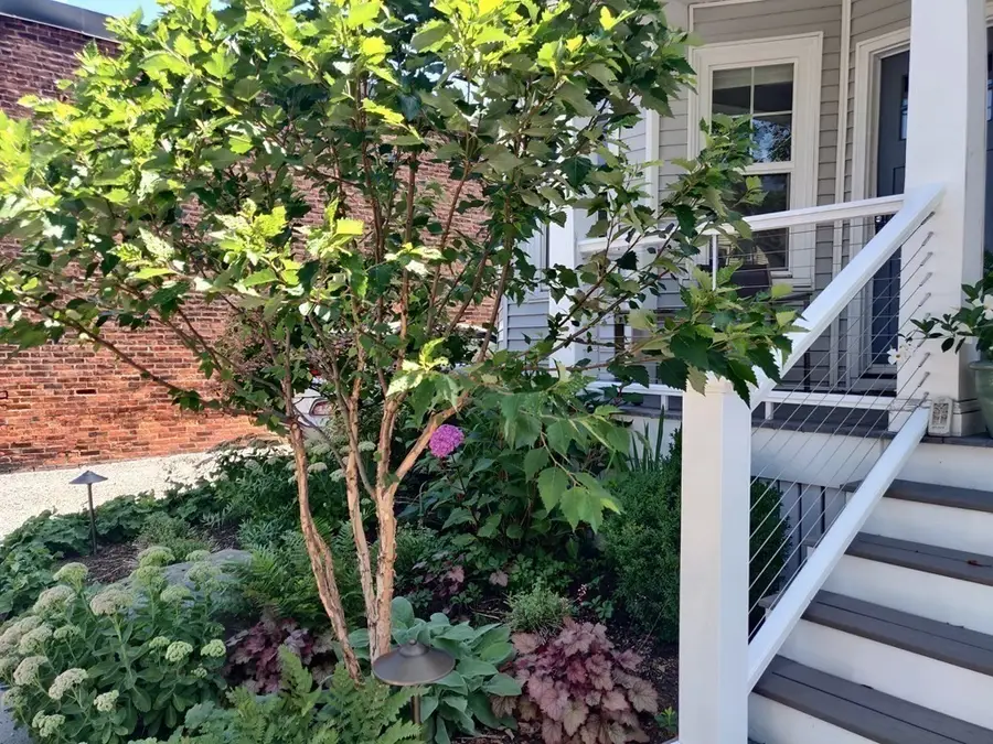 8 Lafayette St #1, Arlington, MA 02474 - #2