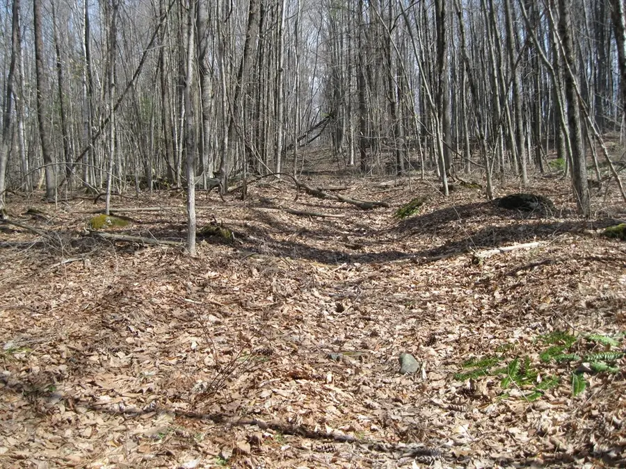 0 Mohawk Lake Rd, Stockbridge, MA 01262 - #2