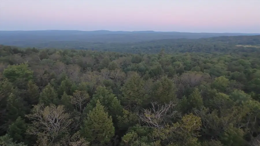 462 Old North Road, Worthington, MA 01098 - #2