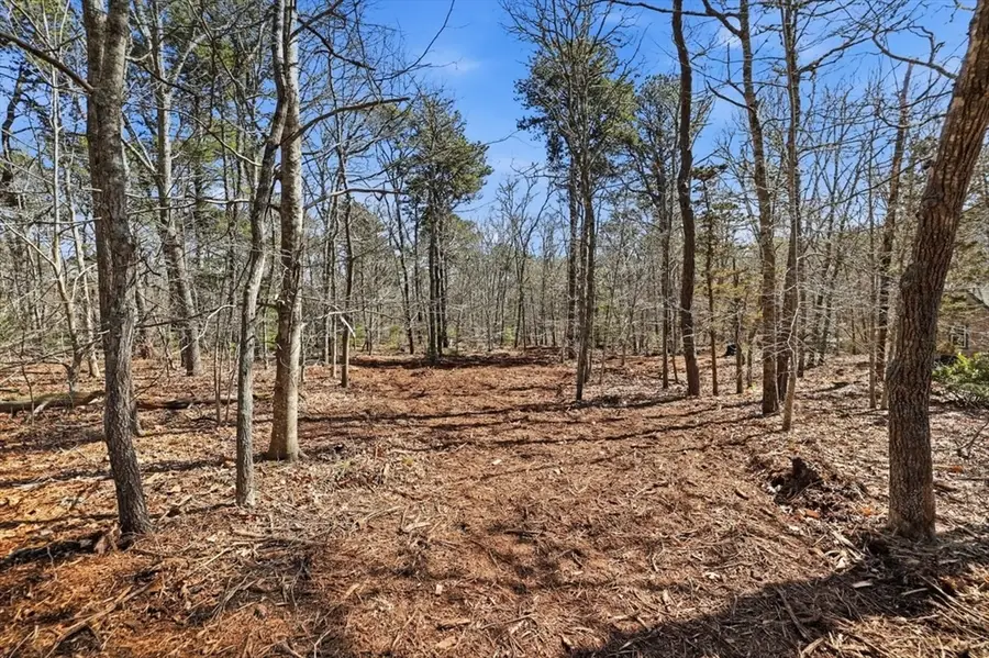 0 Old Long Pond Road, Brewster, MA 02631 - #3