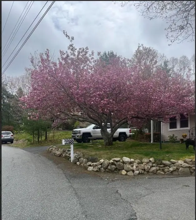 47 Cliff Rd, Bourne, MA 02532 - #3