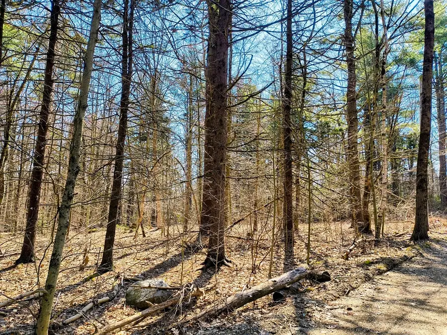 lot 16/11 Porcupine Courts, Becket, MA 01223 - #3