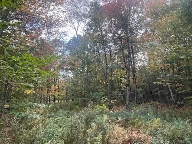 0 Stryker Road, Florida, MA 01247 - #2