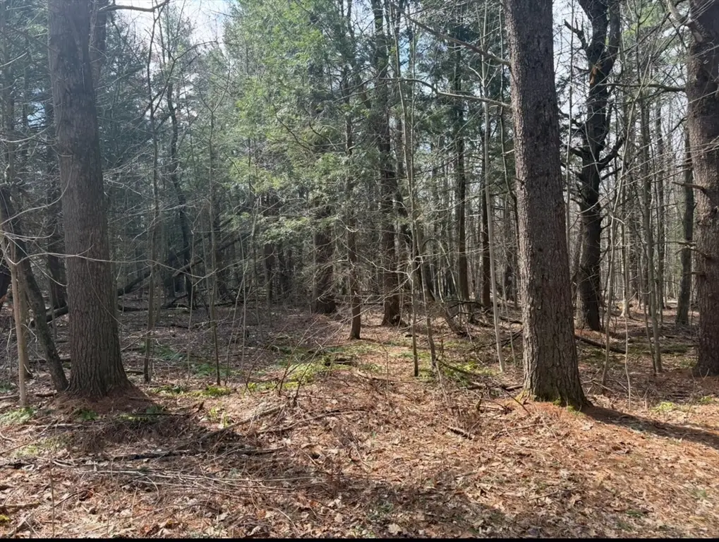 0 Island Acres Rd, Blandford, MA 01008 - #1