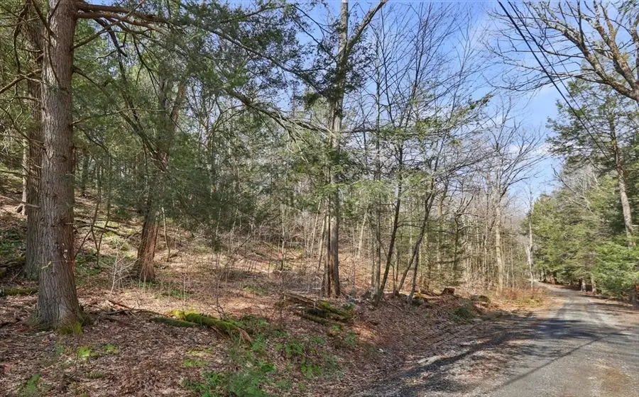 8 Hemlock Rd, Tyringham, MA 01264 - #3