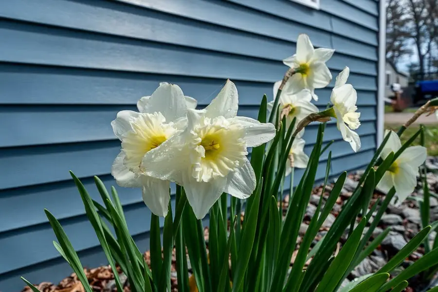 28 Lakeview, East Wareham, MA 02538 - #2