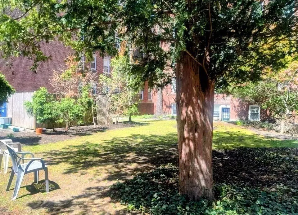 16 Chauncy St #60, Cambridge, MA 02138 - #1