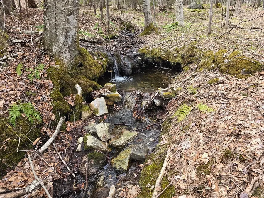 0 Magee Rd, Stamford, VT 05352 - #3