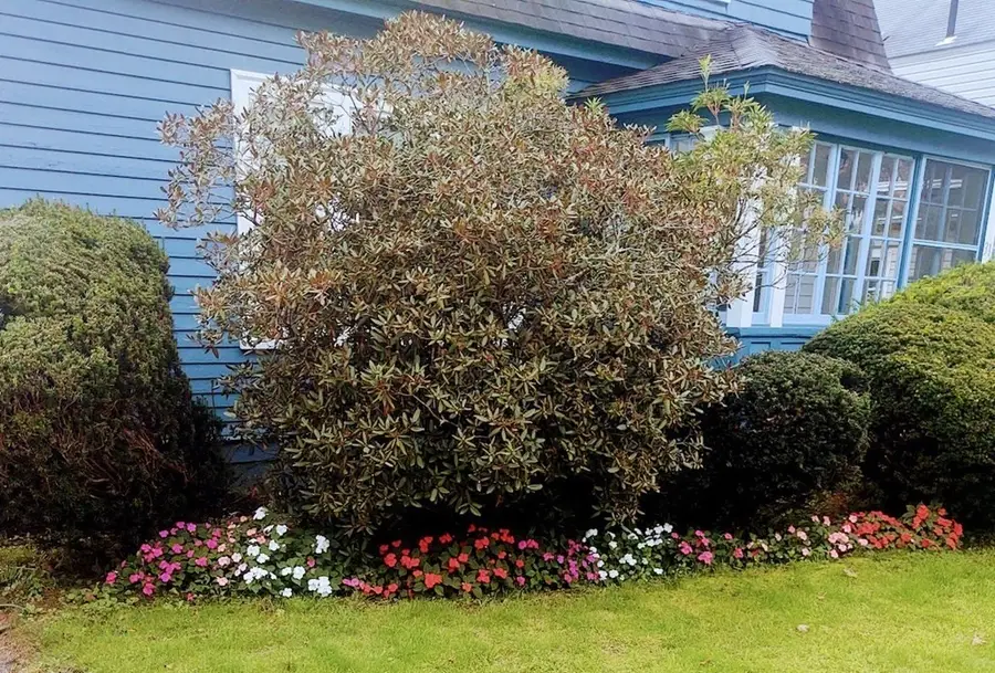 31 Barnard Rd, Worcester, MA 01605 - #2