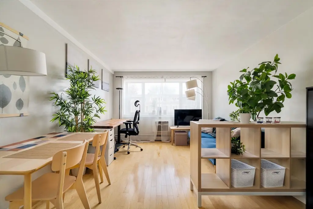 269 Harvard St #23, Cambridge, MA 02139 - #1