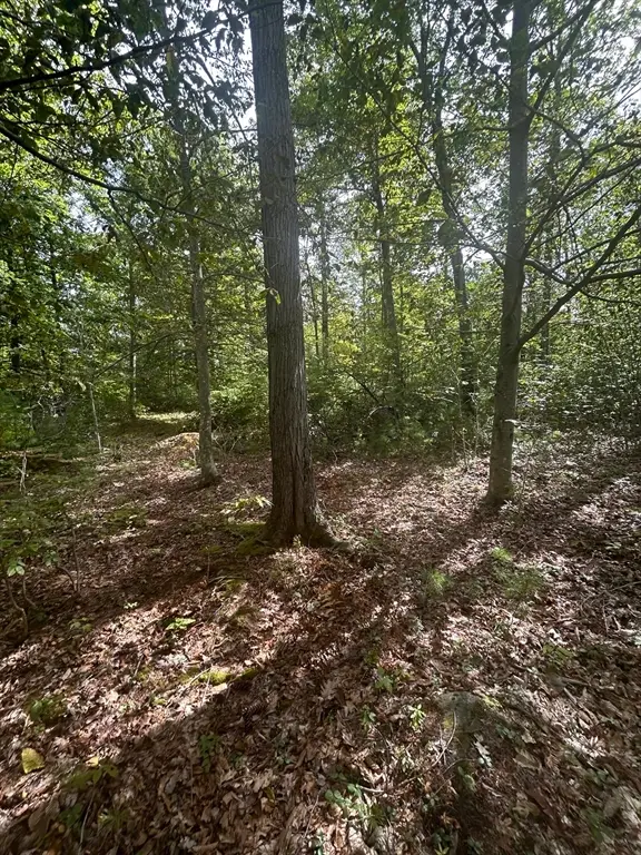 531 Mason Rd, Ashby, MA 01431 - #2