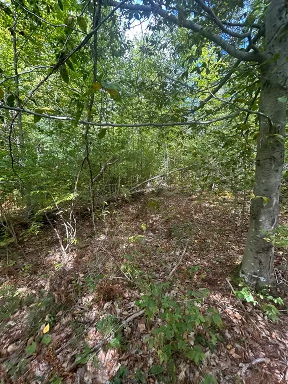 531 Mason Rd, Ashby, MA 01431 - #3