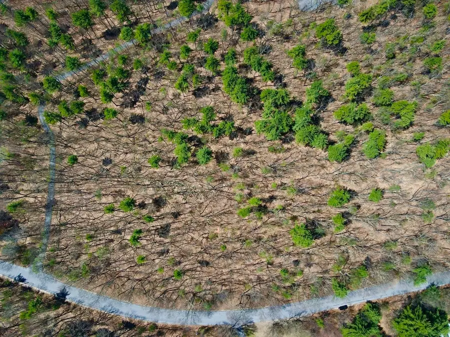 90 Corn Rd, Bolton, MA 01740 - #3