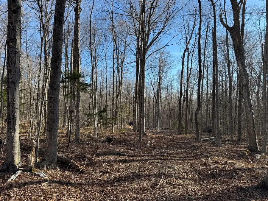 0 Sadoga Road, Heath, MA 01346 - #3