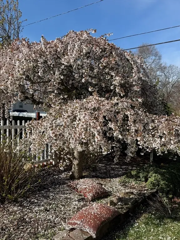 93 Morgan Street, Randolph, MA 02368 - #3