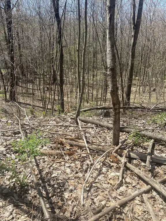 117 Munsing Ridge, Granby, MA 01033 - #3