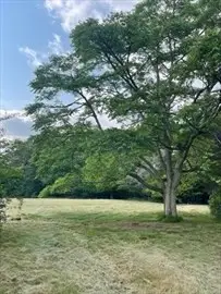 349 Old Fall River Rd, Dartmouth, MA 02747 - #2