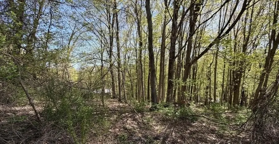 Lots 2A-3A Reservoir Road, North Adams, MA 01247 - #2