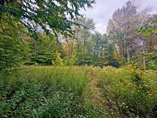 60 Stone Hill Road, Rowe, MA 01367