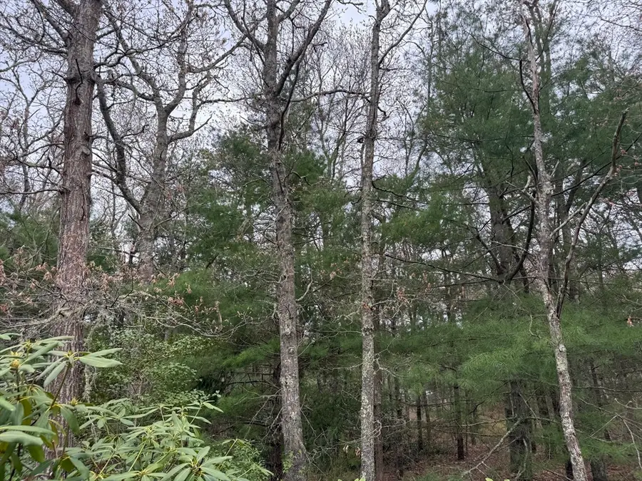 75 Newton St, Northborough, MA 01532 - #2