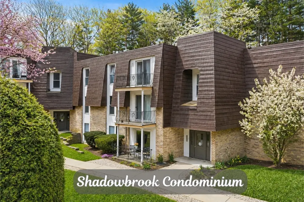 3 Shadowbrook Ln #3, Milford, MA 01757 - #1