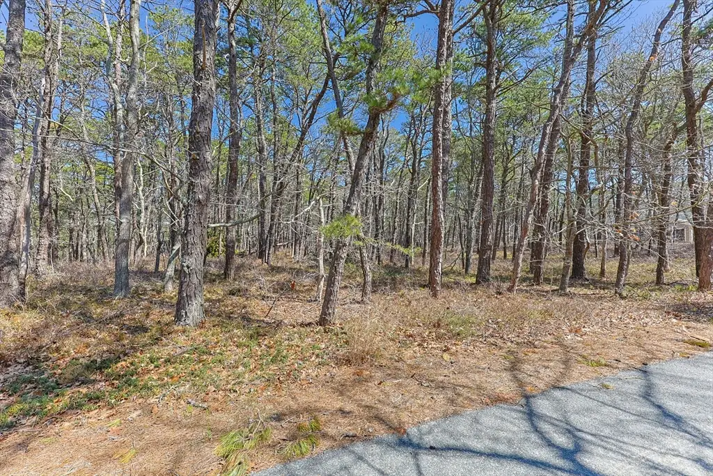 175 Delphi Path, Wellfleet, MA 02667 - #1