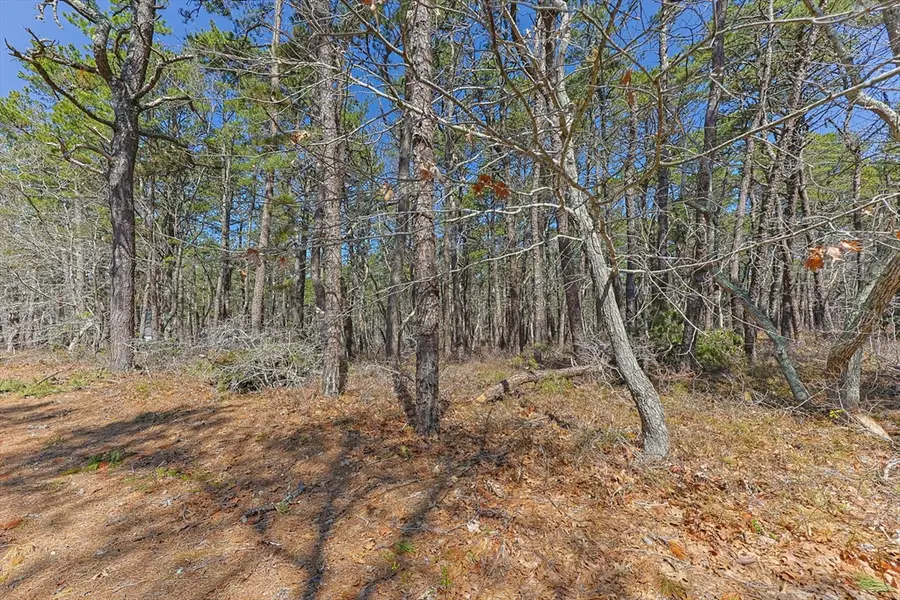 175 Delphi Path, Wellfleet, MA 02667 - #3
