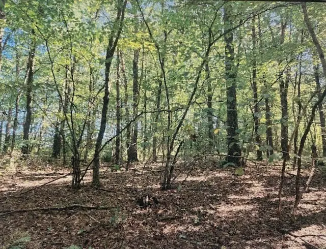Lot 2 North Hatfield Rd., Hatfield, MA 01038 - #3
