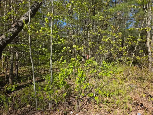 lot 14 West St, Ludlow, MA 01056