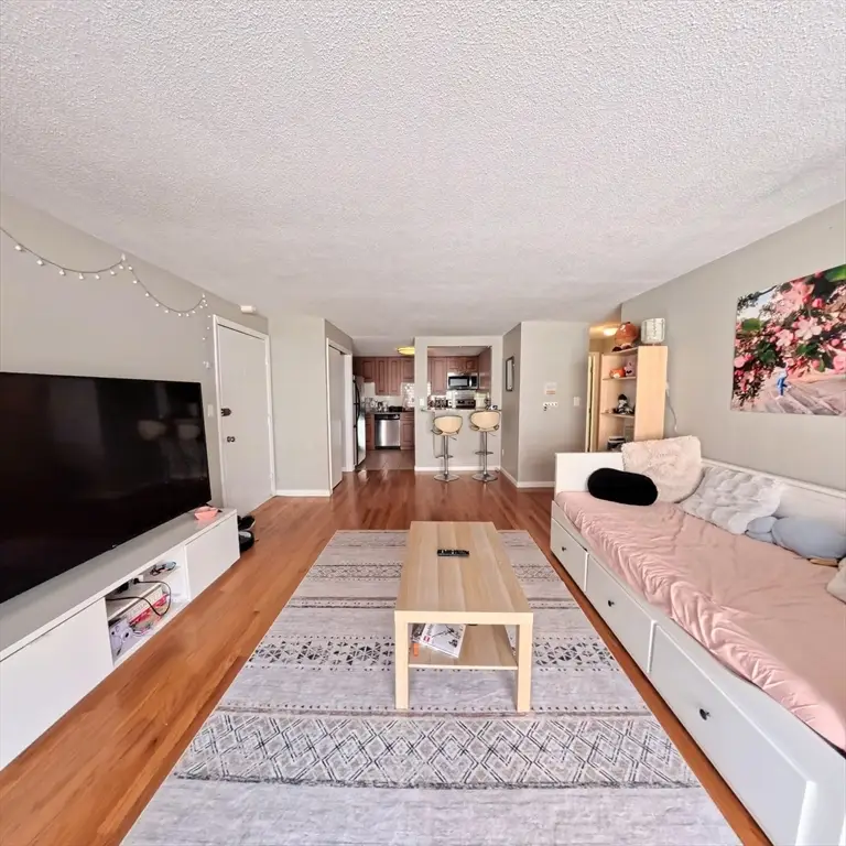 36 Bellvista Road #14, Boston, MA 02135 - #3