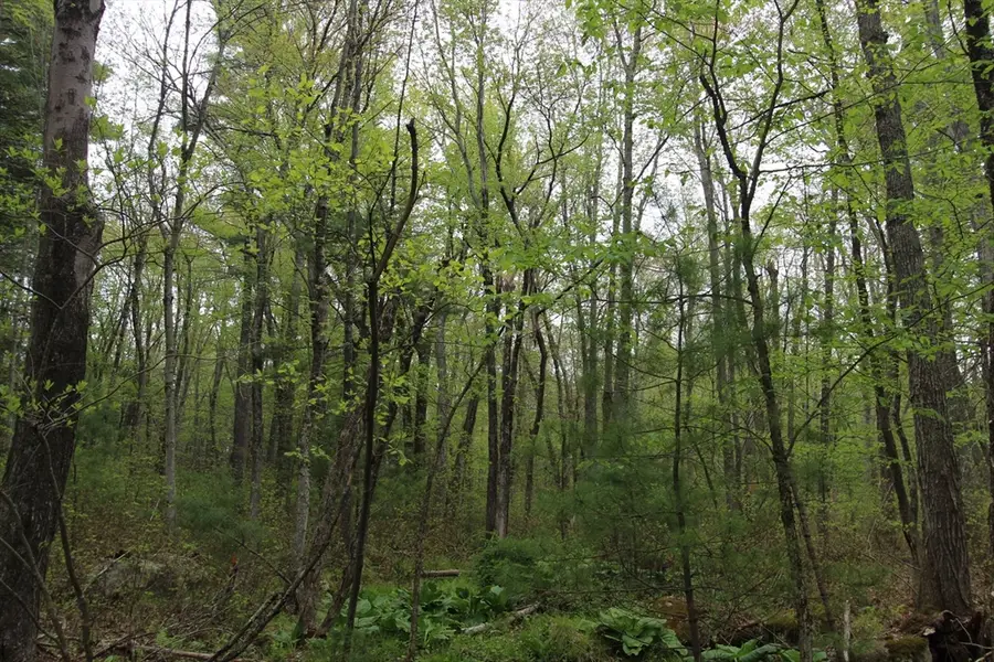 Parcel D Prentice Street, Holliston, MA 01746 - #2