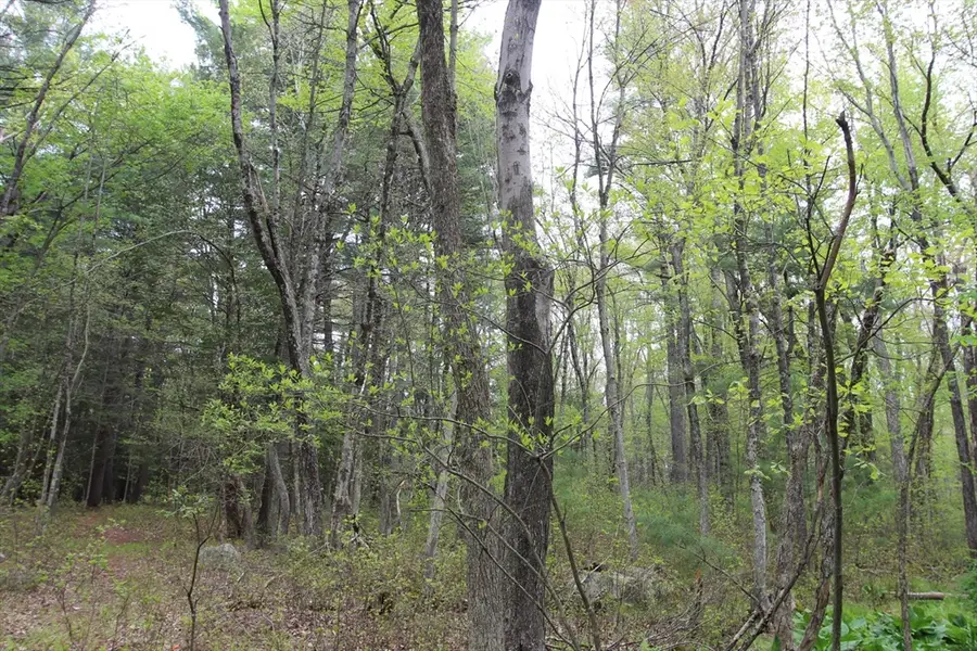Parcel D Prentice Street, Holliston, MA 01746 - #3