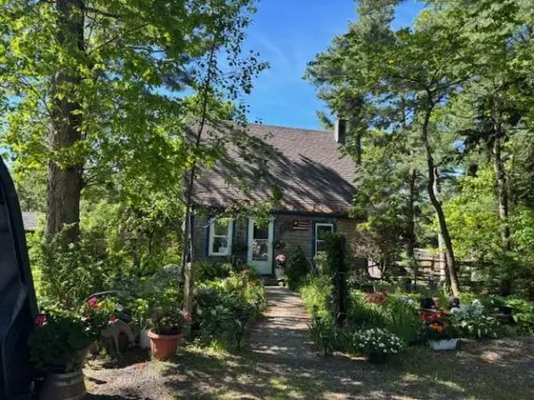 19 King St, Norfolk, MA 02762