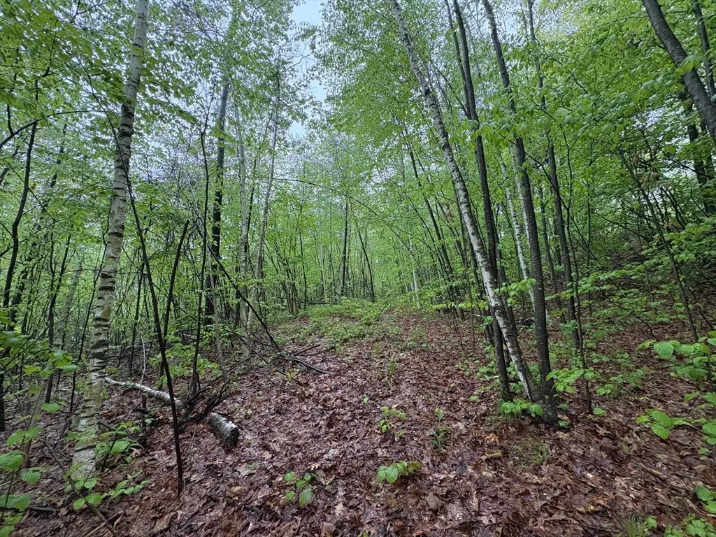 TBD Lower Road, Deerfield, MA 01342 - #1
