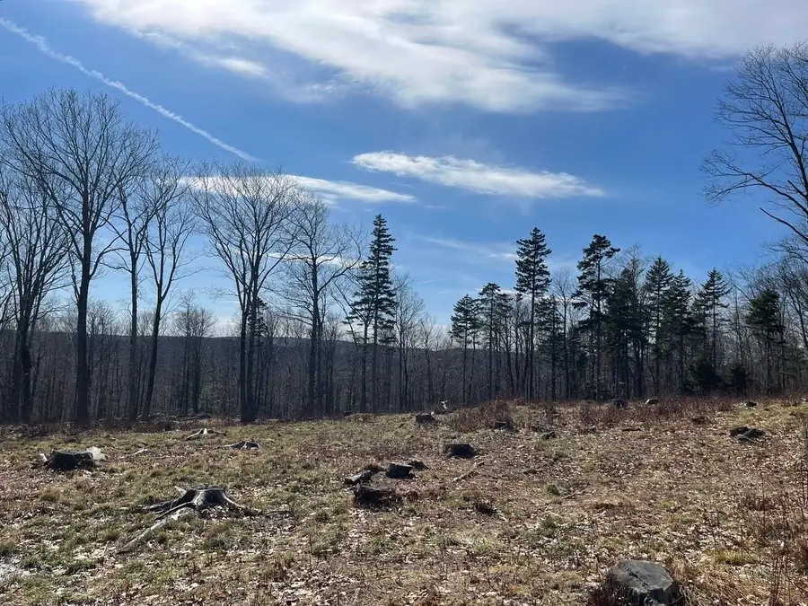 88 Church Rd, Florida, MA 01247 - #2