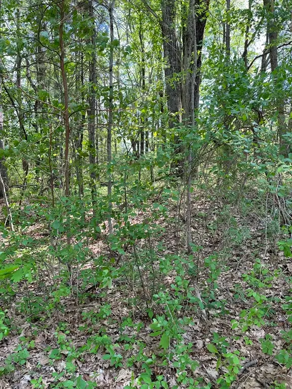 Lot A-2 Durkee Lane, Westford, MA 01886 - #3