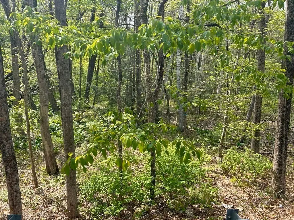 45 Fox Hill Rd, Mashpee, MA 02649 - #1