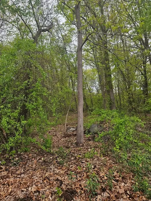 37 Book Street, Dracut, MA 01826 - #2
