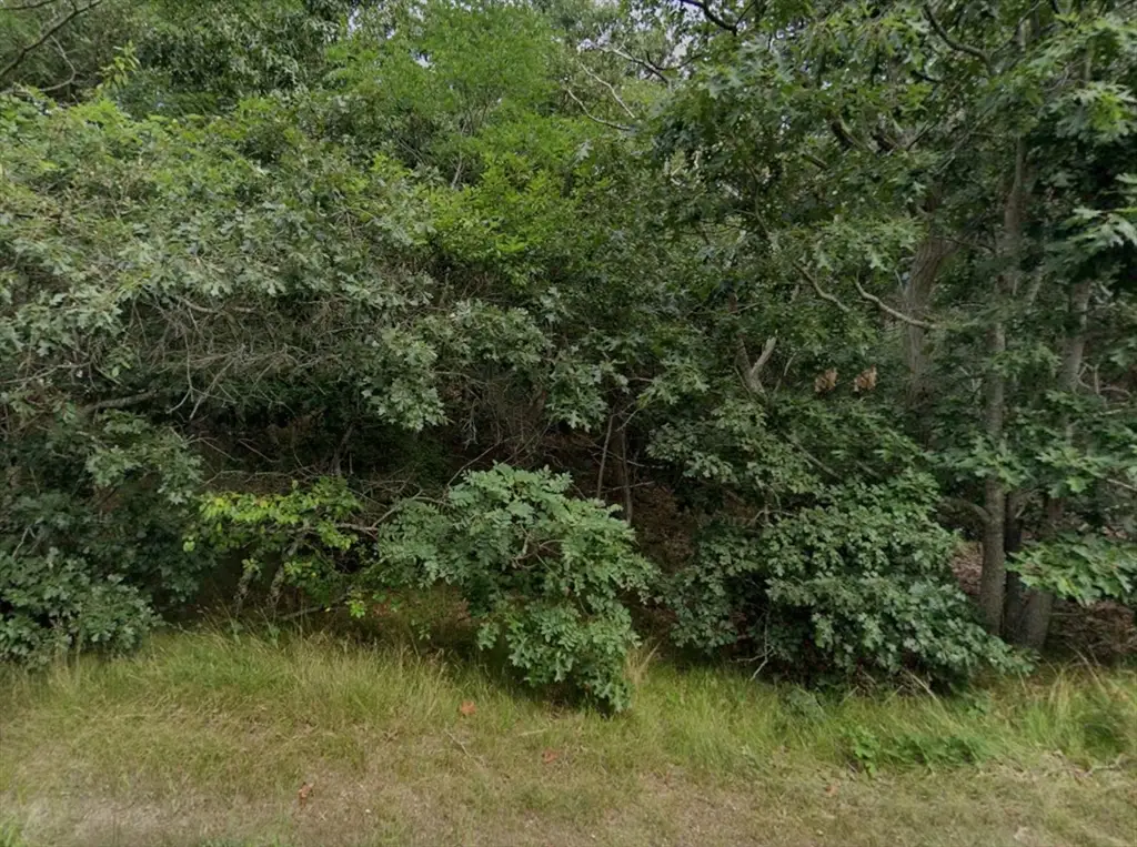 415 Cove Rd, Wellfleet, MA 02667 - #1