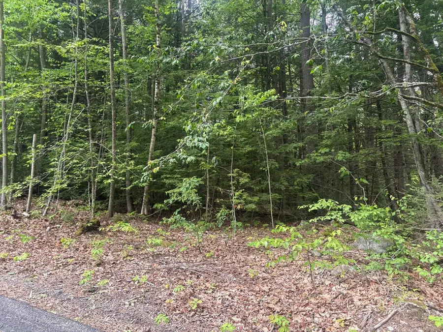0 Gray Road, Templeton, MA 01468 - #2