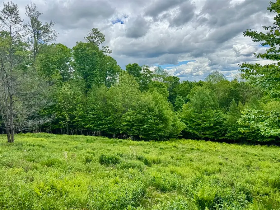 16 Manley Phelps Road, Monroe, MA 01350 - #3