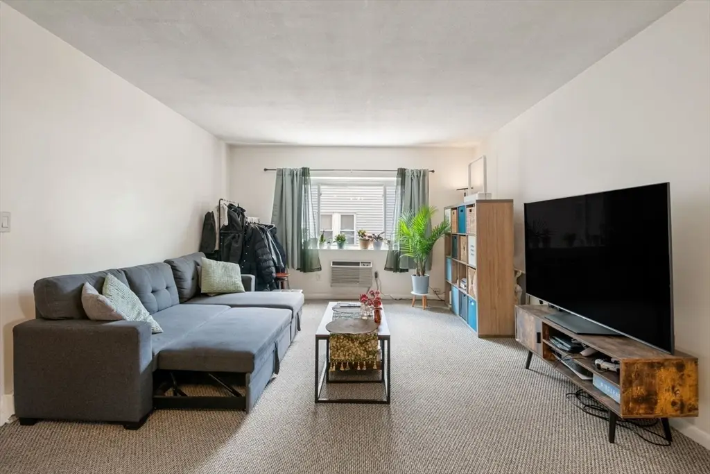 2 Larose Pl #10, Boston, MA 02135 - #1