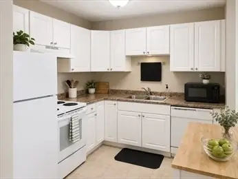 46 Cochituate Rd #203, Framingham, MA 01701 - #3