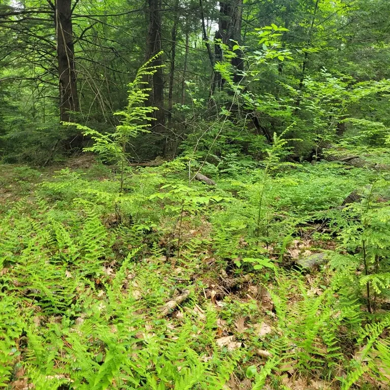 0 Stockwell Road, Royalston, MA 01368 - #2