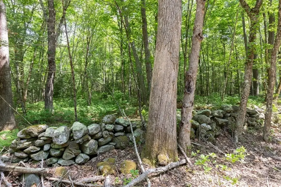 31 Parsonage Rd, Plympton, MA 02367 - #2