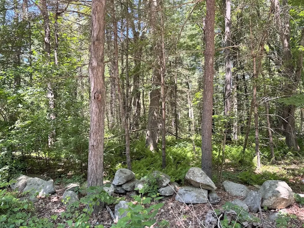 19 Whitney, Berlin, MA 01503 - #1