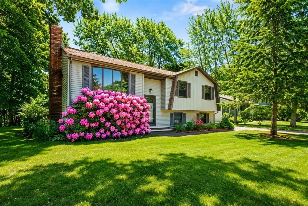 41 William Kelly Rd, Stoughton, MA 02072 - #1